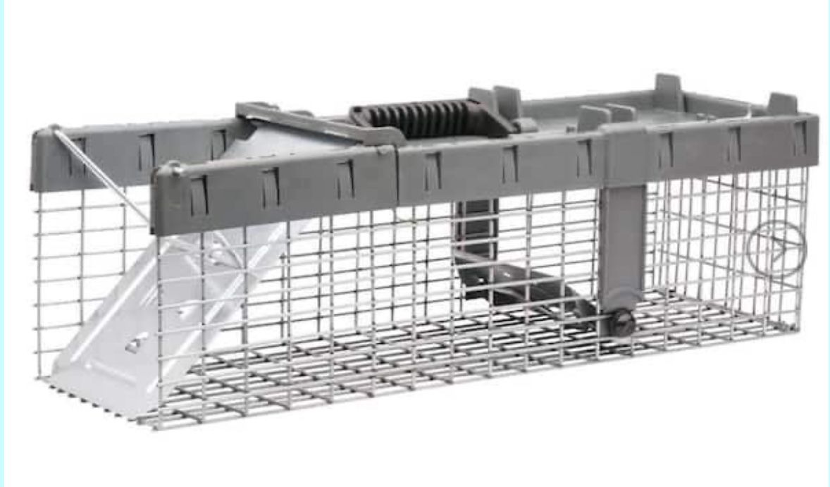 Havahart Small 1-Door Humane Catch-and-Release Live Animal Cage Trap for Squirrel, Weasel, Chipmunk