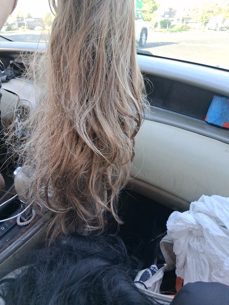 Brown Hair Wig