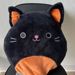 Squishmallow Colton the Cat / Paige The Pumpkin 12” Flip-a-mallow NWT HTF