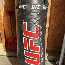 UFC Punching Bag