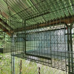 Rabbit Cages. A Total Of 7 Cages  