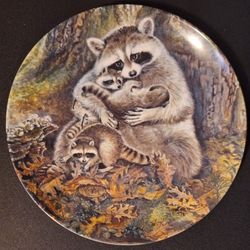 1982 River Shore Ltd Collectible Plate "A PROTECTIVE EMBRACE" Features 2 Racoons Embracing Each Other 