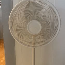 Fan