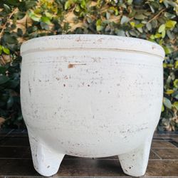 $10 Dollar Pots🪴🪴🪴