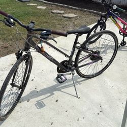 Girls Bike And Woman’s Bike