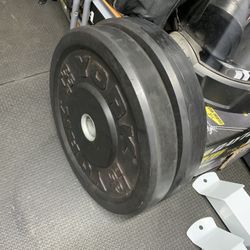 Bumper Weights Set