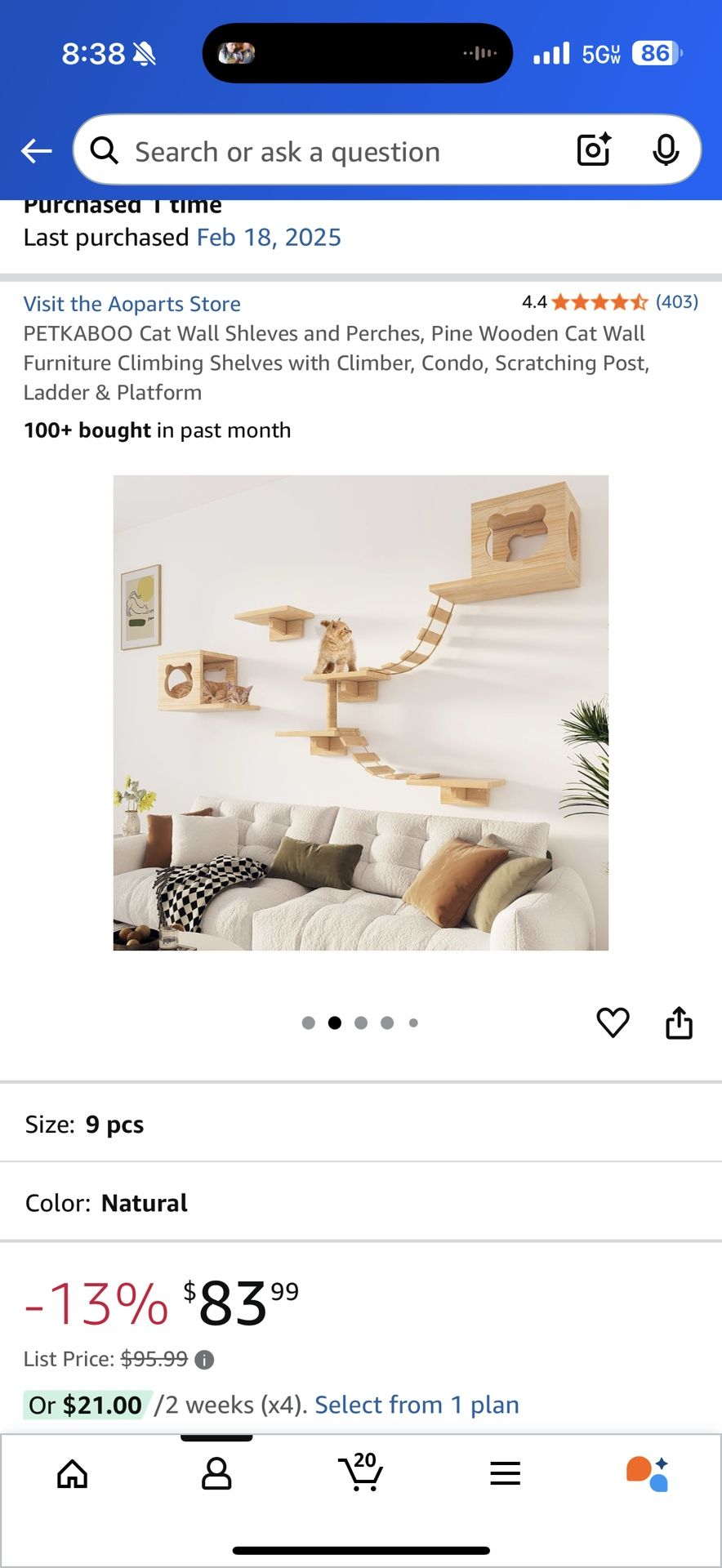 Cat Wall Shelves