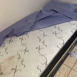 Twin Mattress And Box Spring Bed 