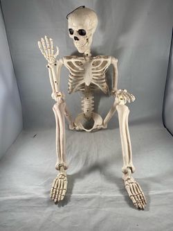 Possible 3 foot Halloween prop skeleton decoration