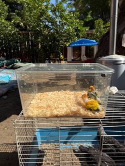DIY bird carrier / brooder made for bird or small animals no pets included