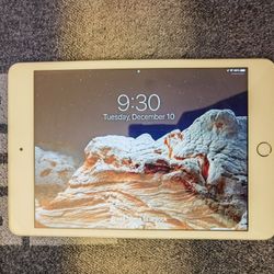 Ipad Mini 4 (128G)