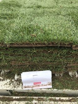 Sod/Grass Marathon II
