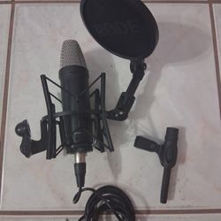 Microphone