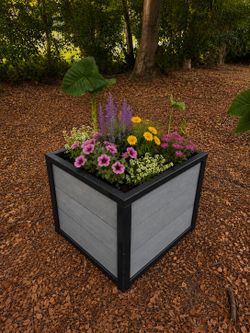 Plant box 2’ x 2’ x 2’