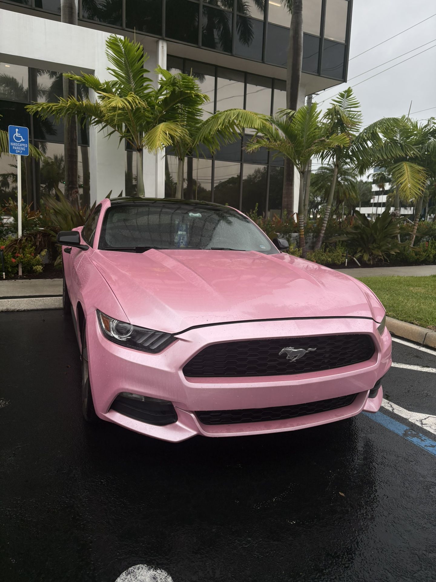 2015 Ford Mustang