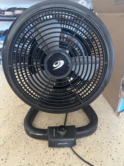 fan