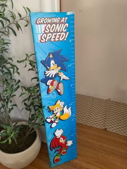 Sonic the Hedgehog Kids Growth Chart