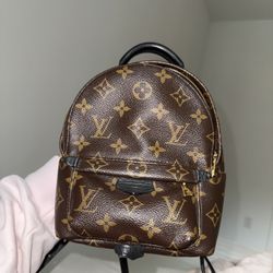 Louis Vuitton Bag (backpack)