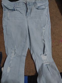 Torrid Jeans