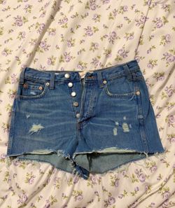 Universal Thread Distressed Blue Denim Button-Fly Shorts