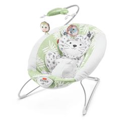 Fisher price Bouncer Pick Up Only 