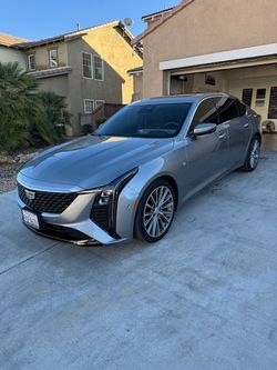 Auto Glass