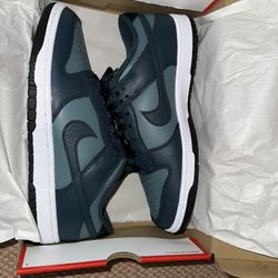 DS Nike dunk men’s size 10.5