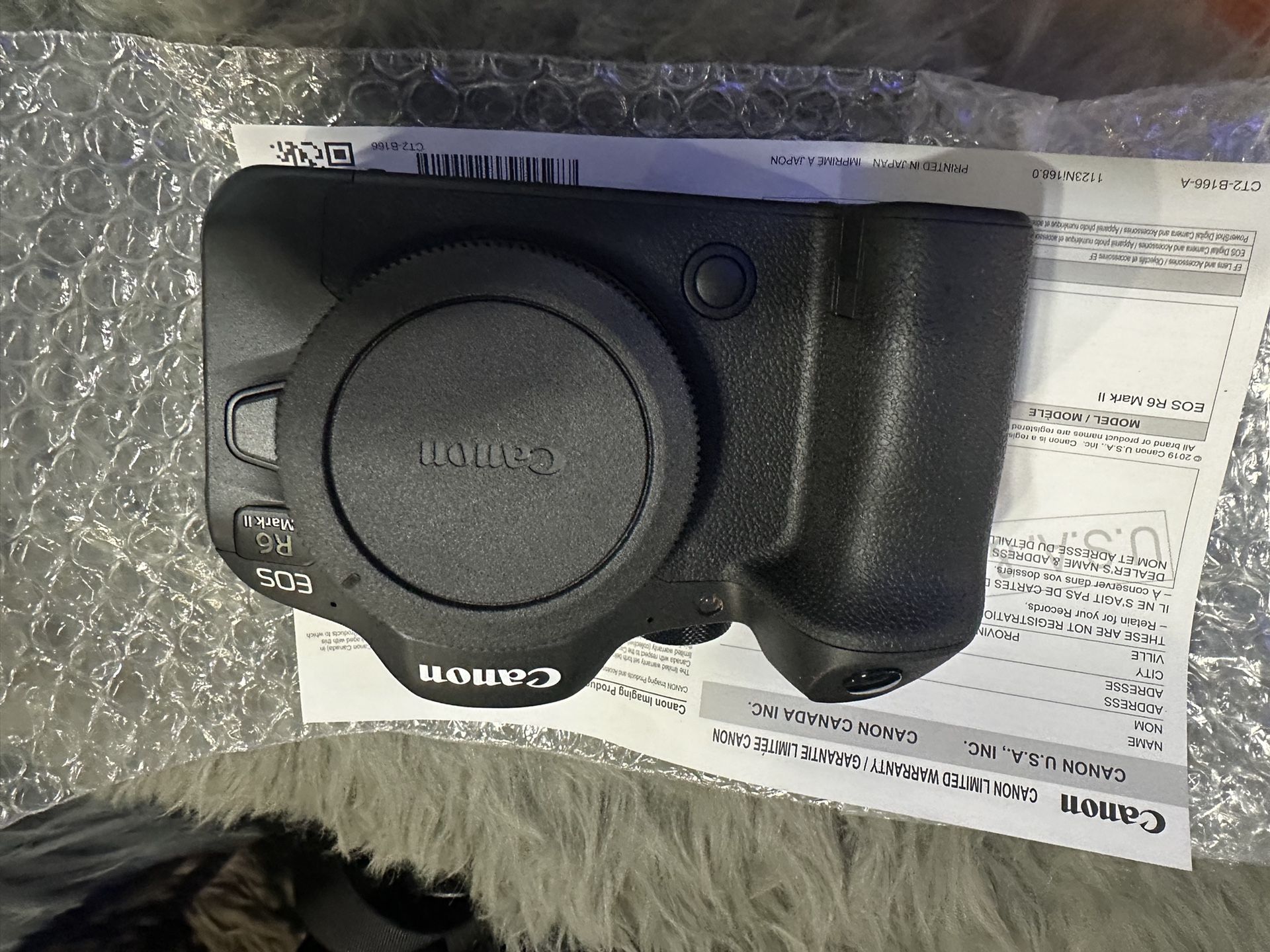 Canon R6 Mark II With Motion