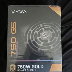 EVGA 750 G5, 80 Plus Gold 750W
