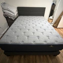 Queen Size Bed With Mattress