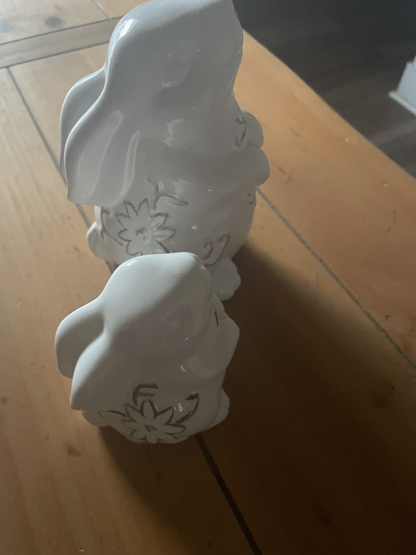White Bunnies 