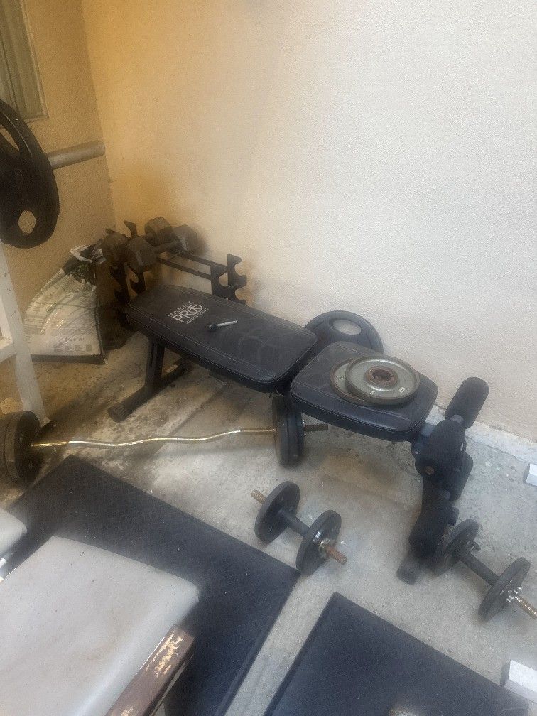 Weights And Benchs