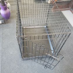 Dog Kennel 