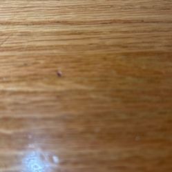 Kumu Basketball Game Today 12 Noon 2 Tickets