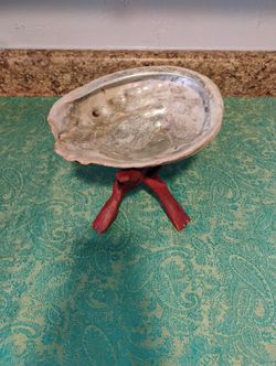 ex large abalone shell with wooden stand