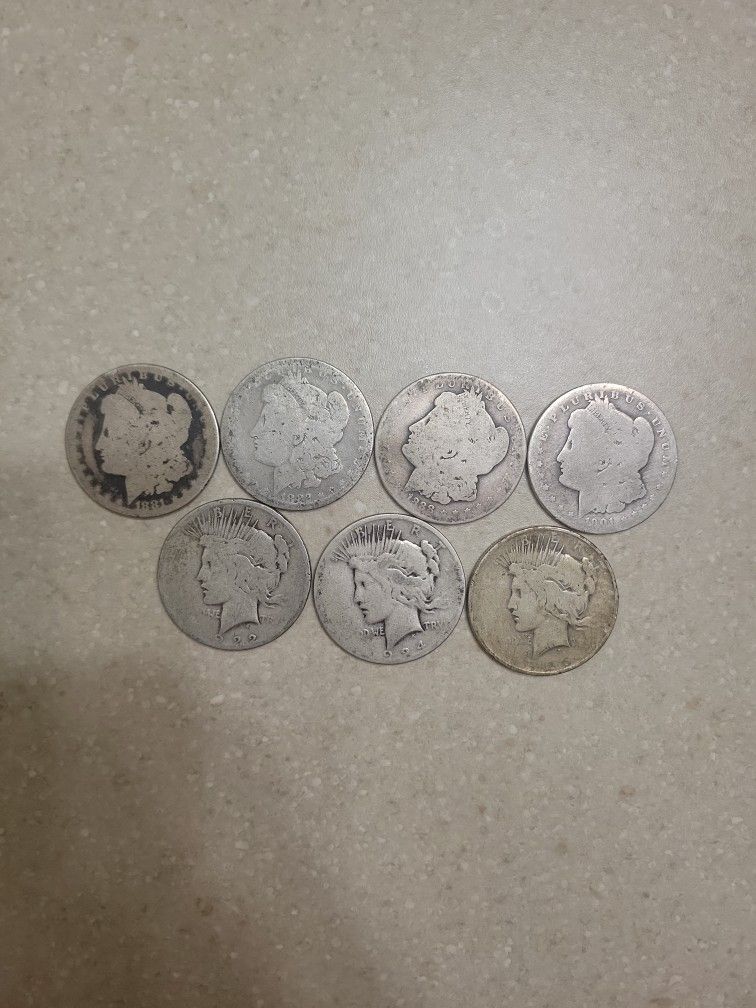 Cull Morgan And Peace Silver Dollars. $32 Each