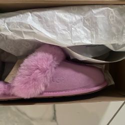 Authentic Uggs Slippers 
