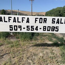 Alfalfa For Sale 