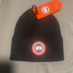 Canada Goose