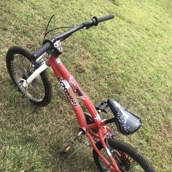 Schwinn Bike