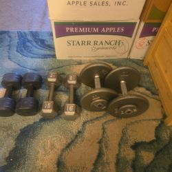 Set Of Dumbs Bells 2x25lbs 2x15lbs 2x5lbs