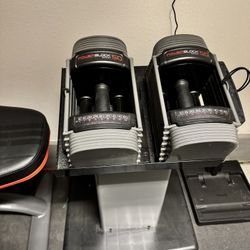 Powerblock 50 Dumbbells with stand