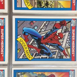 First Time Spiderman In The Blue/Red