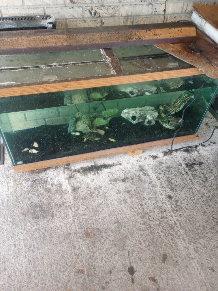 100gal Fish Tank