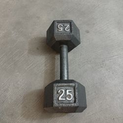 25 LB Dumbbell