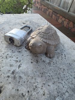 Concrete Turtle