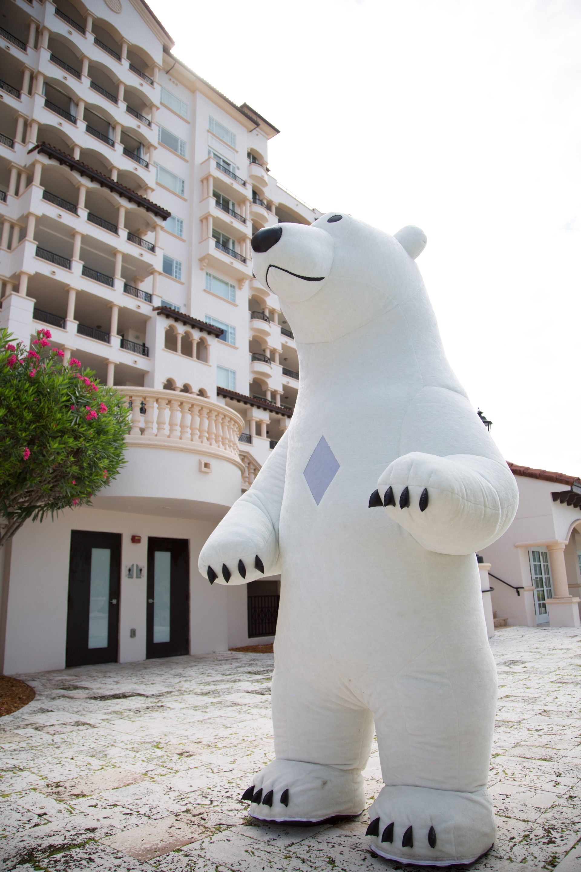 Polar Bear, Birthday character,entertainment for kids