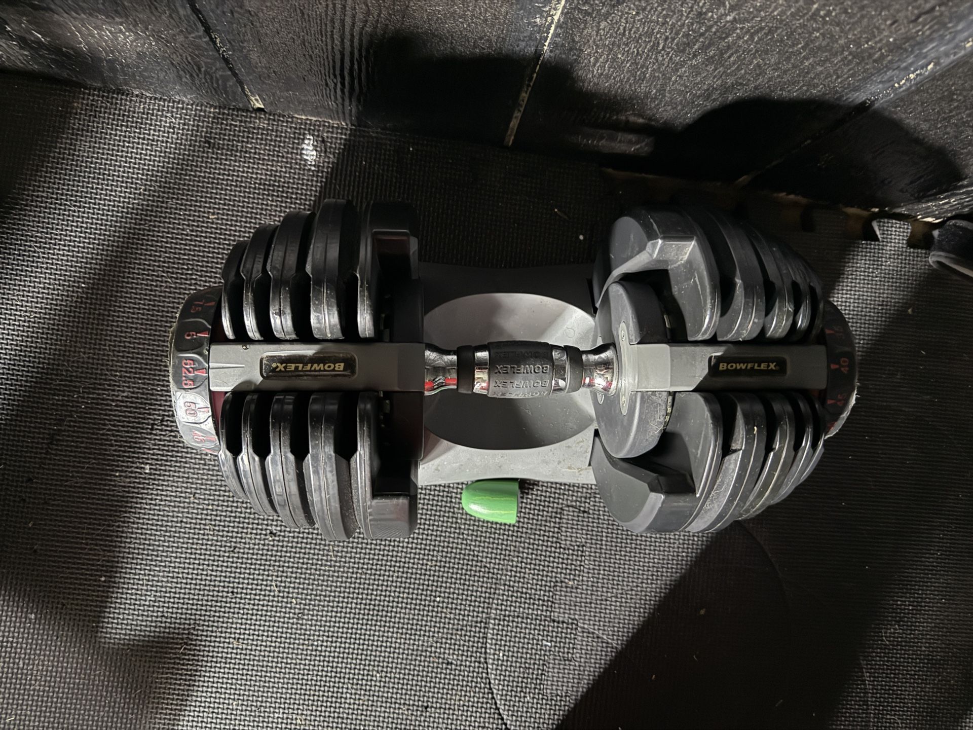 Bowflex Adjustable Dumbbell