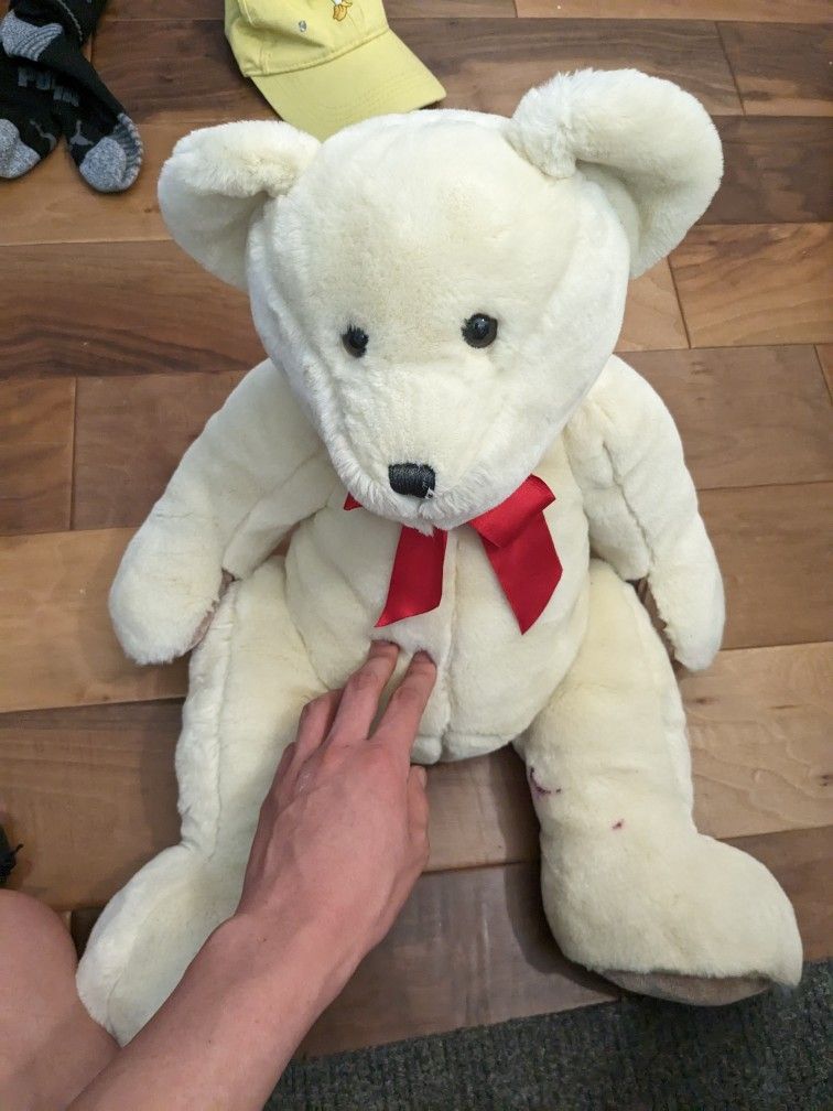 White Teddy Bear Plush