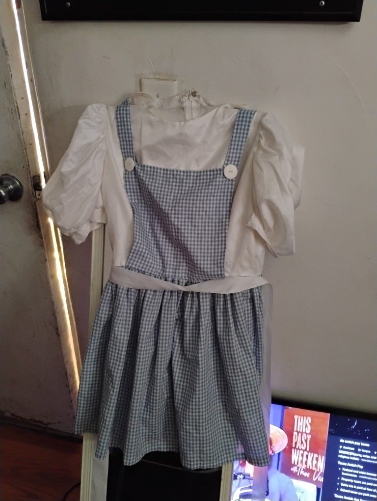Wizard Of Oz Dorothy Dress Size 6